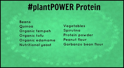 plantPOWERprotein