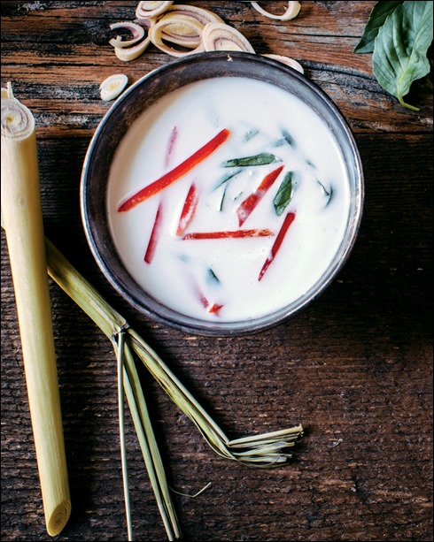 Thrive Energy Cookbook- Coconut Thai Soup Pic
